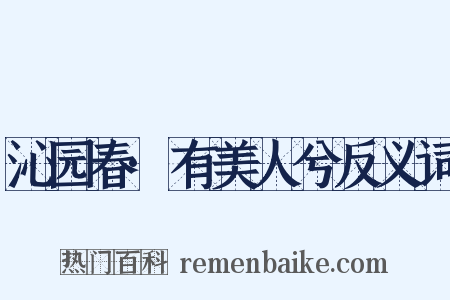沁园春·有美人兮反义词是什么意思的图片